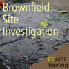 Brownfield Site Investigation
